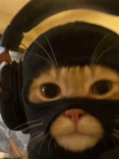 Best Funny CS2 Moments Compilation