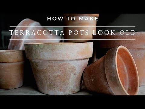 How to Make Terra Cotta Pots Look Old - Instantly Aged Terracotta Planter Pots using Paint!