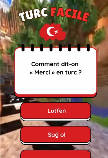 Apprends le turc facilement pour voyager