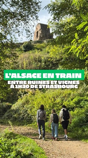 139K views · 1.1K reactions | Envie de bouger sans exploser ton...