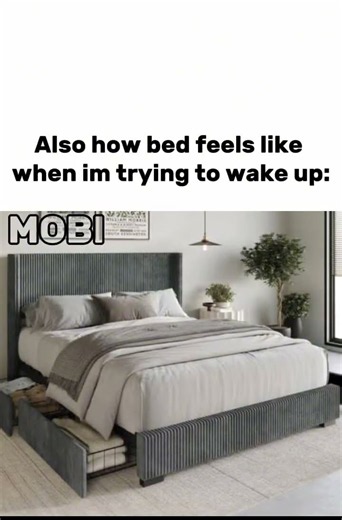 Bed