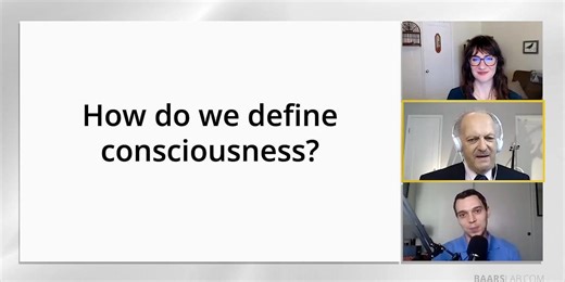 What Is Consciousness? How Science Defines the Undefinable. | Bernard J. Baars