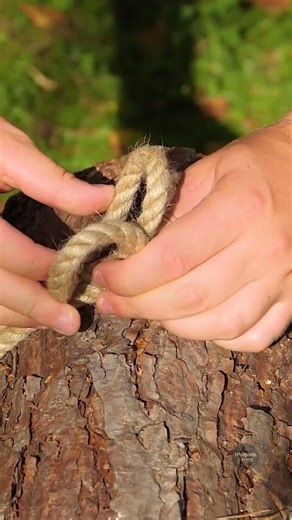 Adventure Awaits: Fun Ways to Level Up Your Camping Game!
