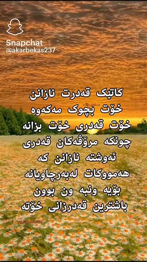 Danka Hanara على TikTok