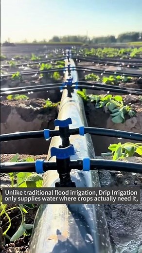What Is Drip Irrigation? #agriculture #farming #dripIrrigation #smartagriculture