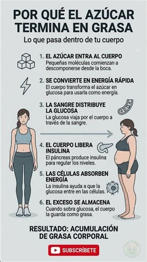 EL AZÚCAR SE VUELVE GRASA 😳 #salud #shorts #saludnatural #bienestar #nutricion