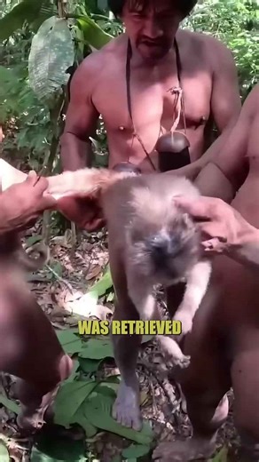 What does monkey meat really taste like?