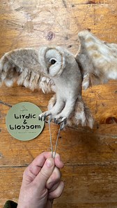 257K views · 30K reactions | Needle felting my Barn Owl in flight has...
