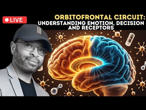 Orbitofrontal Circuit: Understanding Emotion, Decision, and Receptors