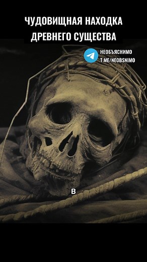 Археологи нашли древнее существо в саркофаге