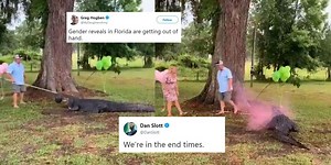 Couple criticised for using alligator in viral gender reveal stunt