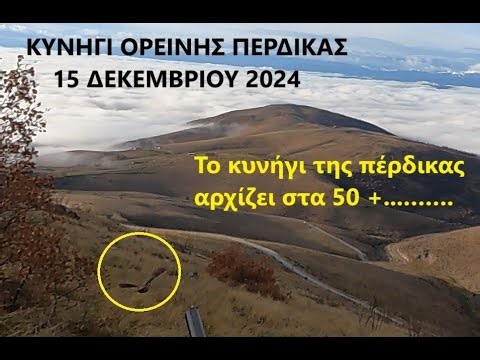 ΚΥΝΗΓΙ ΟΡΕΙΝΗΣ ΠΕΡΔΙΚΑΣ. ΔΕΚΕΜΒΡΙΟΣ 2024.