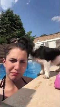 A cat compilations #228