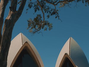 Sydney Opera House on Reels