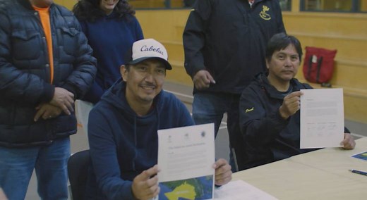 Old-growth logging halted at two Vancouver Island sites