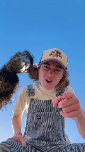 Exploring Emmanuel the Emu: Uncovering the Mystery