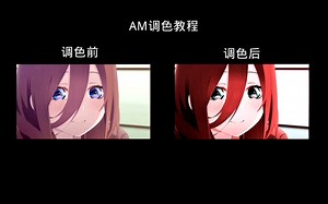 AM调色教程
