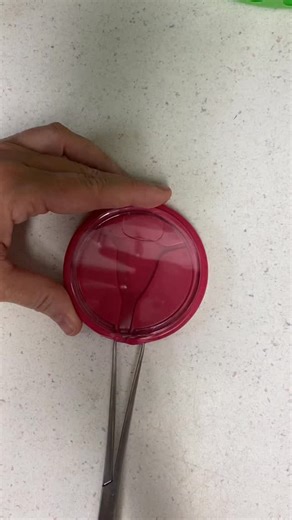 Sarah Pringle on Instagram