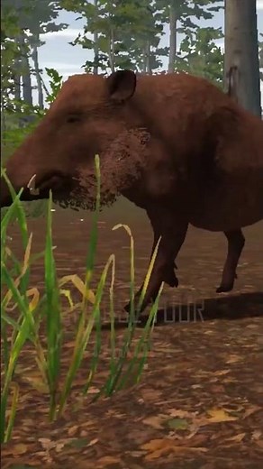 The Most Realistic VR Hunting Simulator is HERE!