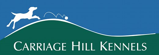 Indoor Swimming Pool for Dogs — Carriage Hill Kennels