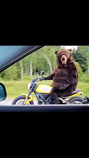 𝐖𝐄𝐑𝐍𝐄𝐑 on Instagram: "HARDEST RUSSIA 🇷🇺🇷🇺🇷🇺 EDIT EVER #RUSSIA #EDIT #COUNTRY #FYP Russia: A Land of Vastness and Complexity Russia, the largest country in the world, stretches across two continents, Europe and Asia, covering approximately 17.1 million square kilometers. This immense landmass encompasses diverse landscapes, climates, cultures, and histories, making it one of the most fascinating nations on Earth. From its ancient beginnings to its role in modern geopolitics, Russia ha