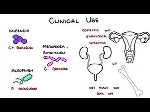 Carbapenem Antibiotics - Meropenem, Imipenem, Ertapenem • Video • MEDtube.net