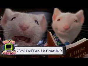 Stuart Little's Best Moments | Stuart Little 1 & 2 | Indoor Recess