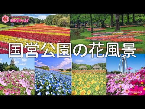 絶景の花畑！国営公園の花風景（はなまっぷ展スライドショー）