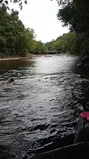 María Fernanda Garcia on TikTok