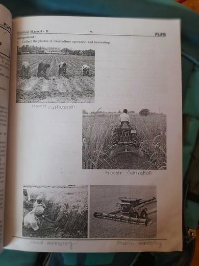 crop science practical book 12th answer