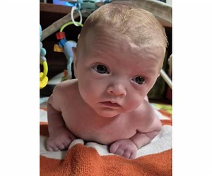 David Ellis Daniel Obituary (2025) - La Porte, IN - Cutler Funeral Home and Cremation Center