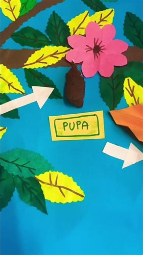 BUTTERFLY LIFE CYCLE PROJECT FOR KIDS #butterflylifecycle #craftideas #guruthejaswiniteluguvlogs