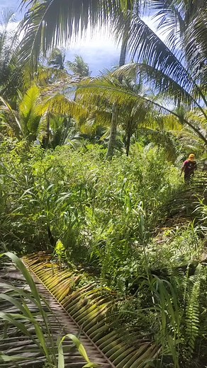 treasure sign decoding! | Treasure sign amd symbols