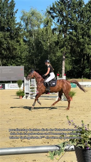 Springpferde A** reiten nach Beinverletzung: Wie schnell zurück?