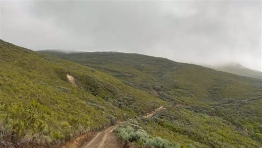 Another trail conquered in the rain ✔️ Lake Ellis Trail with Adventure Trek Kenya 🥾 Next up: Mt. Satima — 21st March 2026