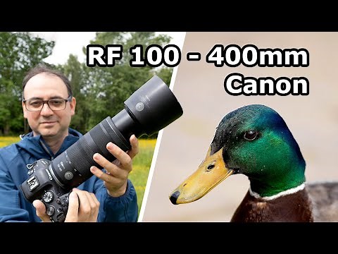 Testing the Canon RF 100-400mm F/5.6-F/8 IS USM Lens for Wildlife Photography – In the Field