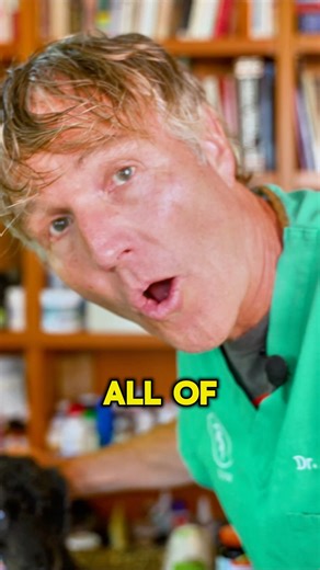 If your dog has a weird bump filled with a cheesy-like substance 🤢… it’s probably a follicular cyst. Surgery isn’t always the best answer—there’s a simple at-home fix starting with a black tea apple cider vinegar scrub. But that’s just step one… there are 4 more you need to know to make this work. 🎥 Watch the full guide on my Youtube channel 👉 https://youtu.be/scLPT1_-gq4 #doghealthtips #dogcysts #naturalpetcare #holisticvet #petwellness | Dr. Andrew Jones - Veterinary Secrets