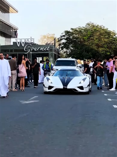 Java Highlight trên TikTok