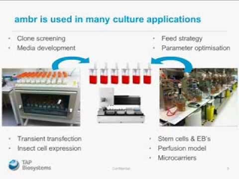 How the ambr advanced microscale bioreactor can transform cell line development