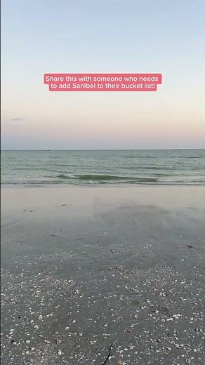 Sanibel Island: Seashell Capital of the World | Visit Fort Myers