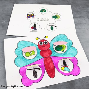 Butterfly Life Cycle Craft