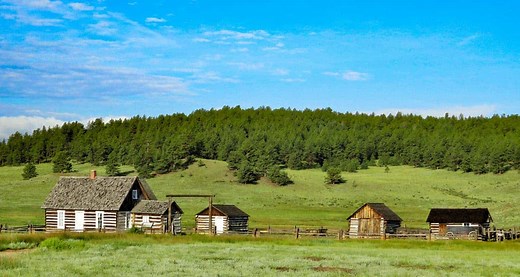 Petrified Forest Hike at Florissant Fossil Beds - Day Hikes Near Denver