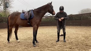 Passing the reins over, the first long reining lesson for Max Shriane with Michael Peace. | Michael Peace - Think Equus