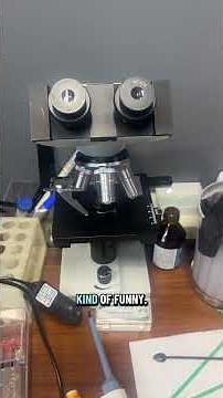 biotech toolkit #biotech #science #startup #biology #stem #pcr #experiment