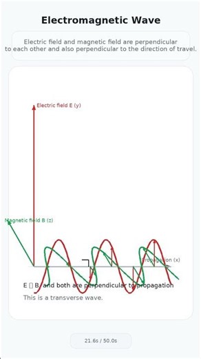 Wave Motion in Physics #waves #animation #soundwave #waterwave #electromagnetic wave