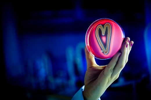 Biomedicine - master | UiT