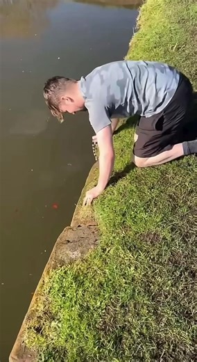 A lemon 🍋🤣 #lemon #baptised #gyspy #travellersgossipofficial #travellersbest