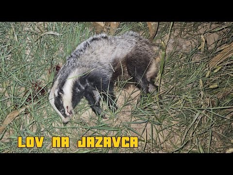 Lov na Jazavca / 30-06 S&B PTS / Pard 007 sp 🦡
