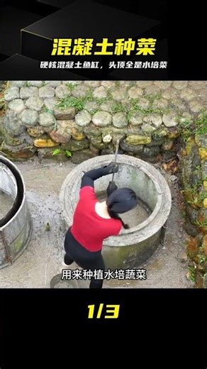 混凝土澆筑魚缸，頭頂直接掛起空中菜園，太酷了 #混凝土 #鱼缸 #空中菜园 #水培 #DIY