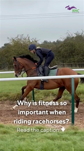 85K views · 1.8K reactions |  Racehorses are athletes — and so are...